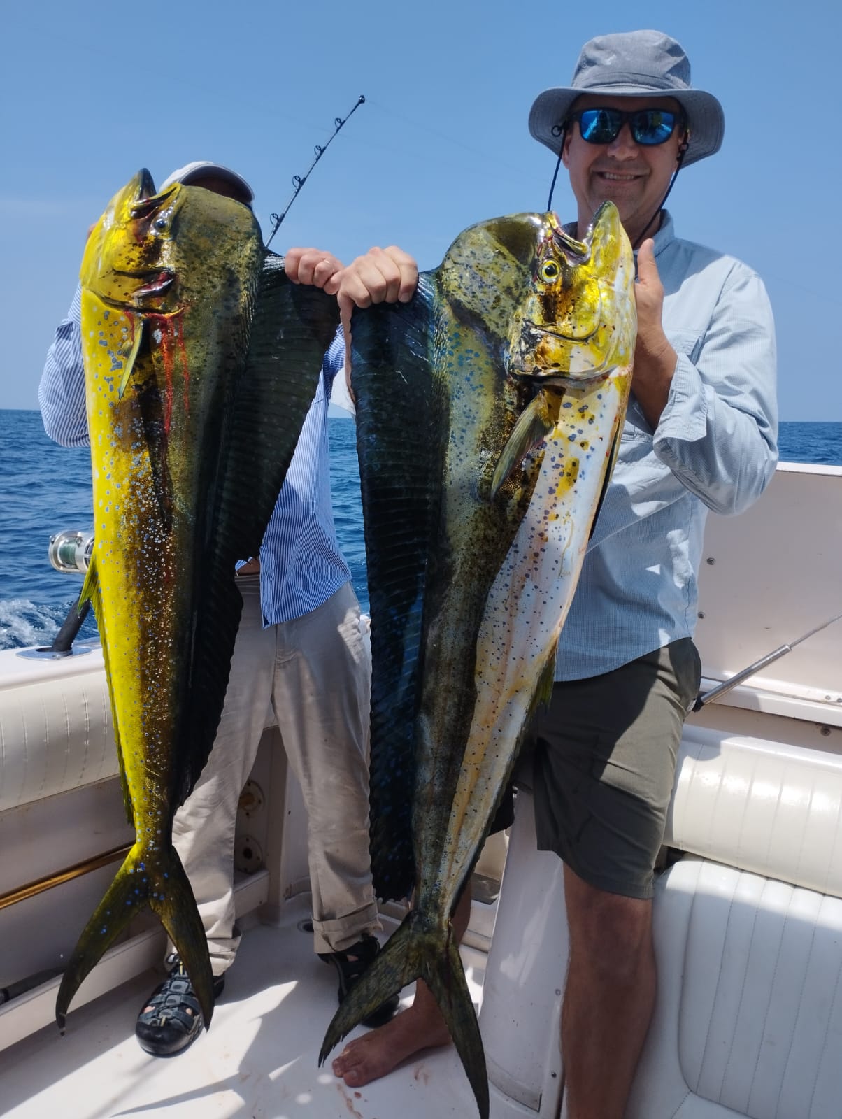 Tour de 8 Horas – Dorado y Pez Vela